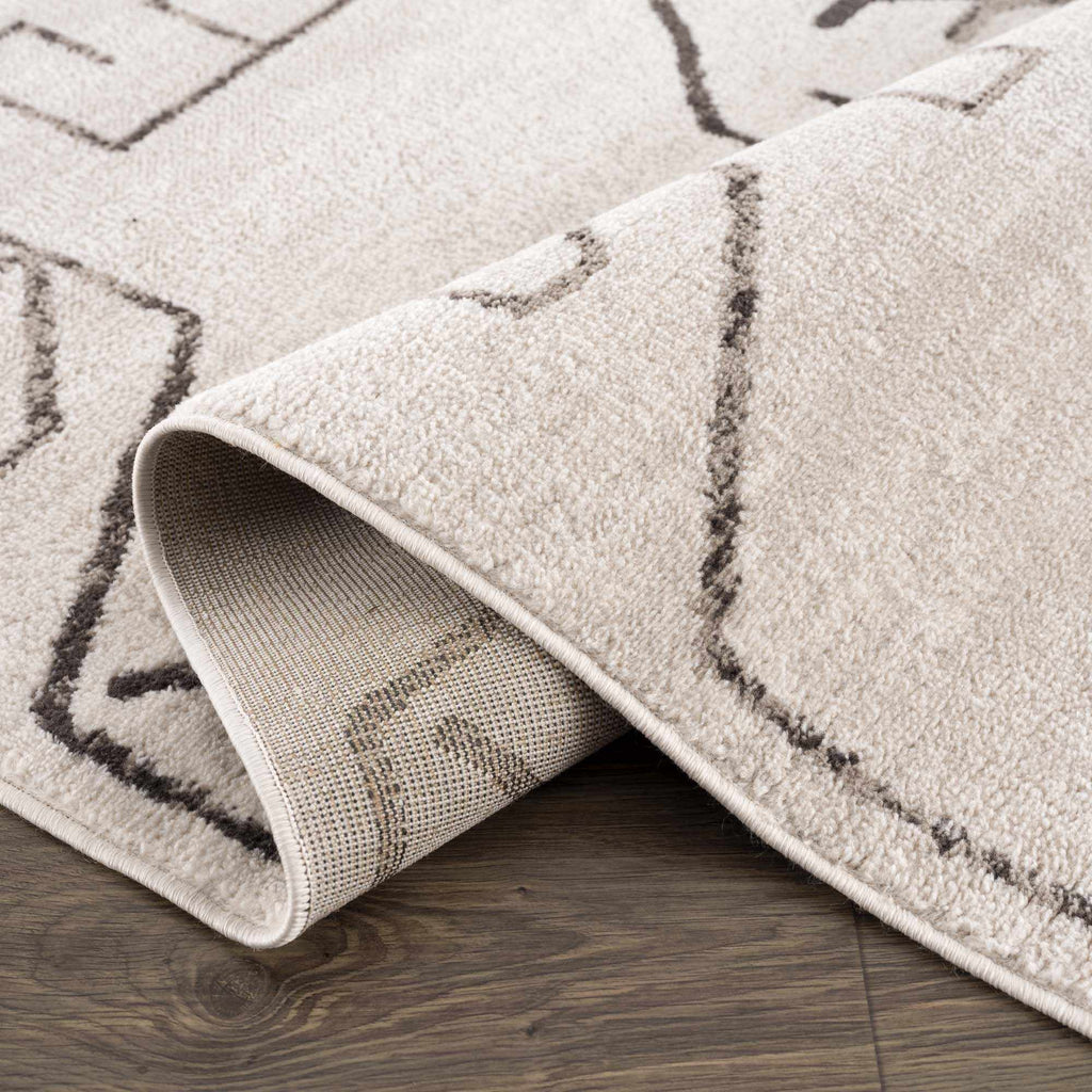 Azzan Cream & Charcoal Area Rug DC-Hauteloom dÉsirer